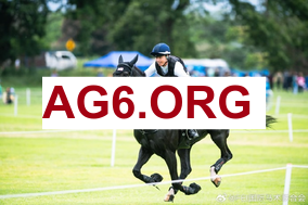 范弗里特：赚5000万不一定开心 钱到了一定数量它就只是个数字